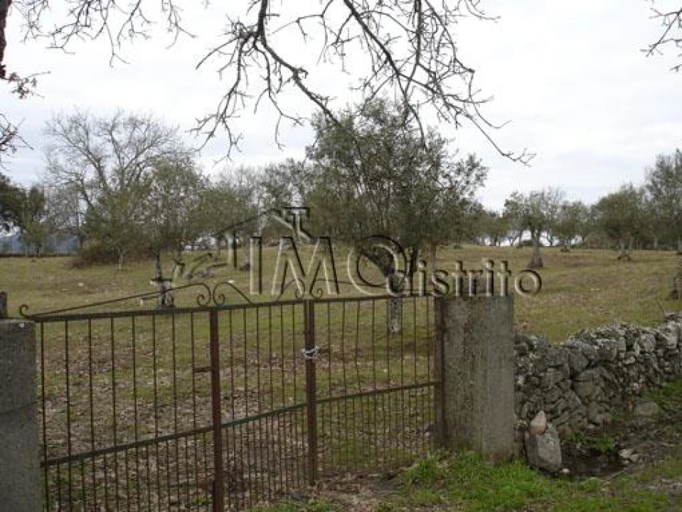 Terreno para Venda em São Salvador da Aramenha Foto 1