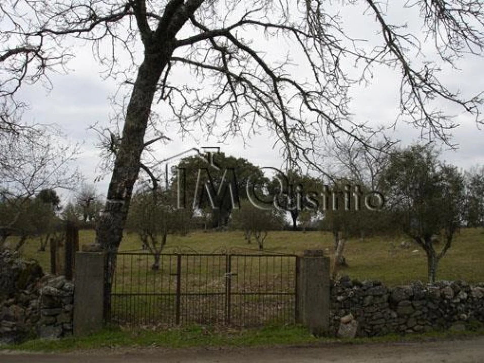 Terreno para Venda em São Salvador da Aramenha Foto 3