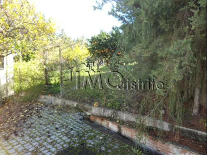 Armazém para Arrendamento em Sé e São Lourenço Foto 14