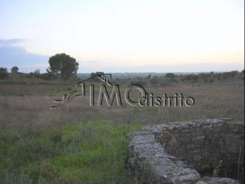 Terreno para Venda em Espírito Santo, Nossa Senhora da Graça e São Simão Foto 2