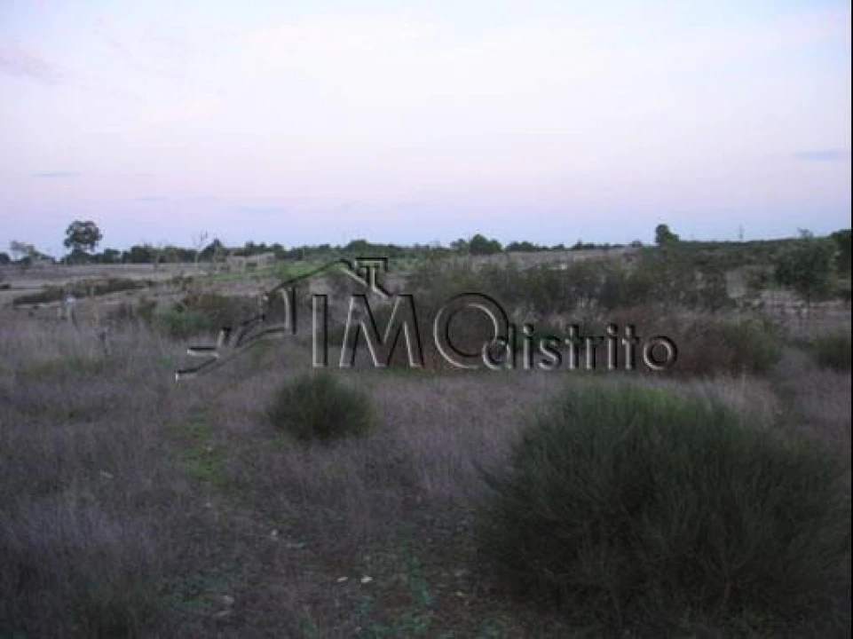 Terreno para Venda em Espírito Santo, Nossa Senhora da Graça e São Simão Foto 6