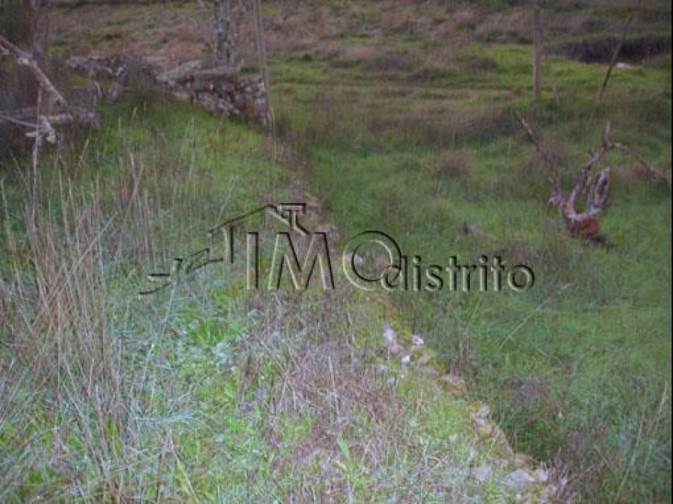Terreno para Venda em Espírito Santo, Nossa Senhora da Graça e São Simão Foto 8