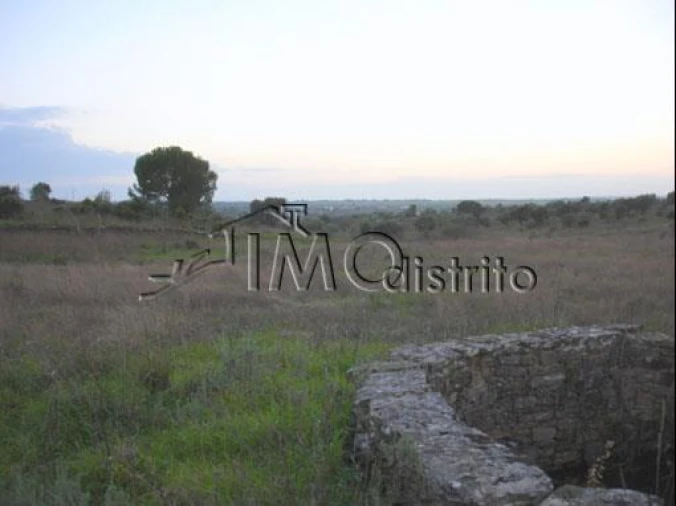 Terreno para Venda em Espírito Santo, Nossa Senhora da Graça e São Simão Foto 2
