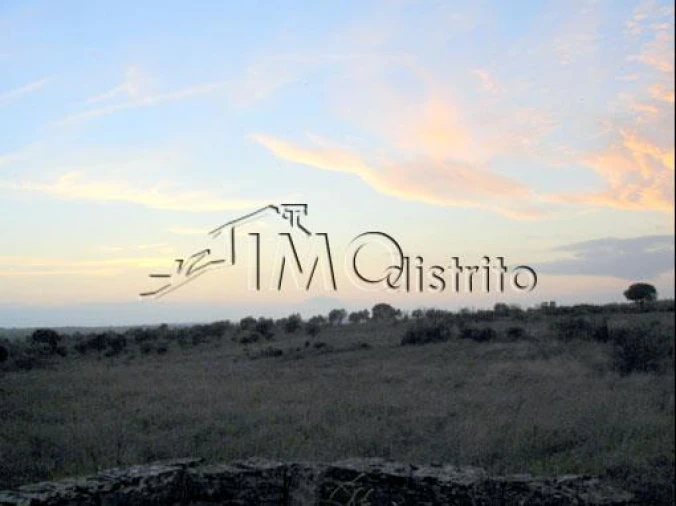 Terreno para Venda em Espírito Santo, Nossa Senhora da Graça e São Simão Foto 3