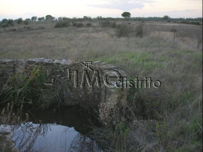 Terreno para Venda em Espírito Santo, Nossa Senhora da Graça e São Simão Foto 4