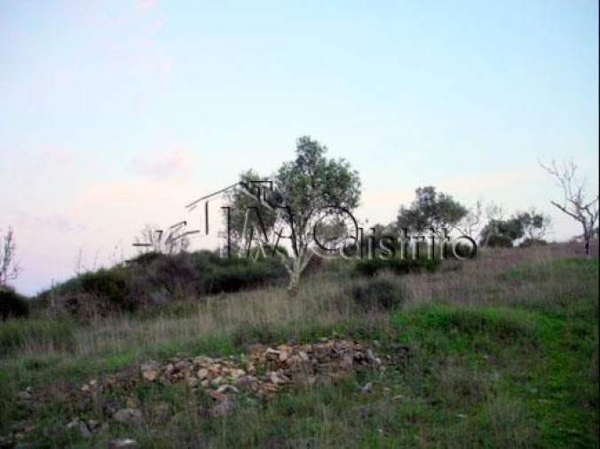 Terreno para Venda em Espírito Santo, Nossa Senhora da Graça e São Simão Foto 9