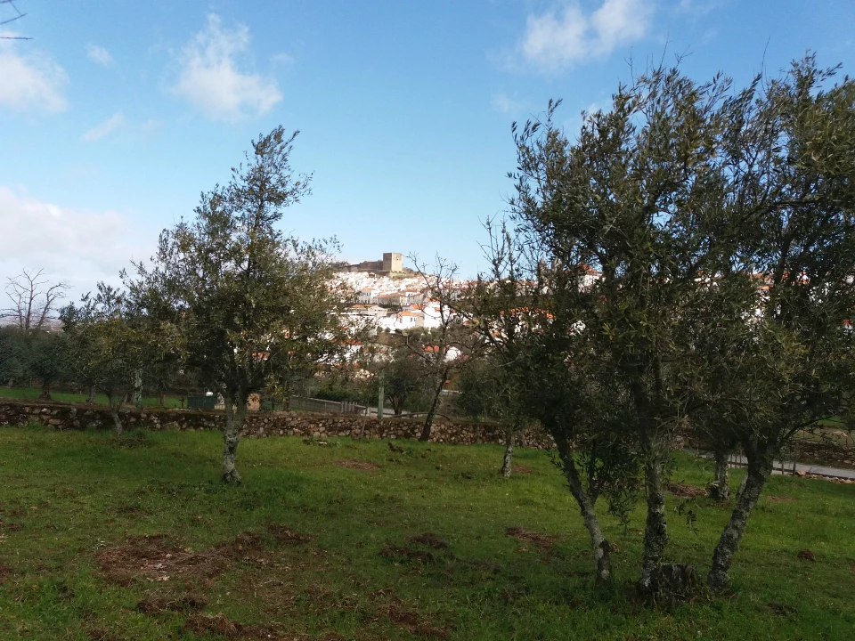 Terreno Agricola ou Rústico para Venda em São João Baptista Foto 6