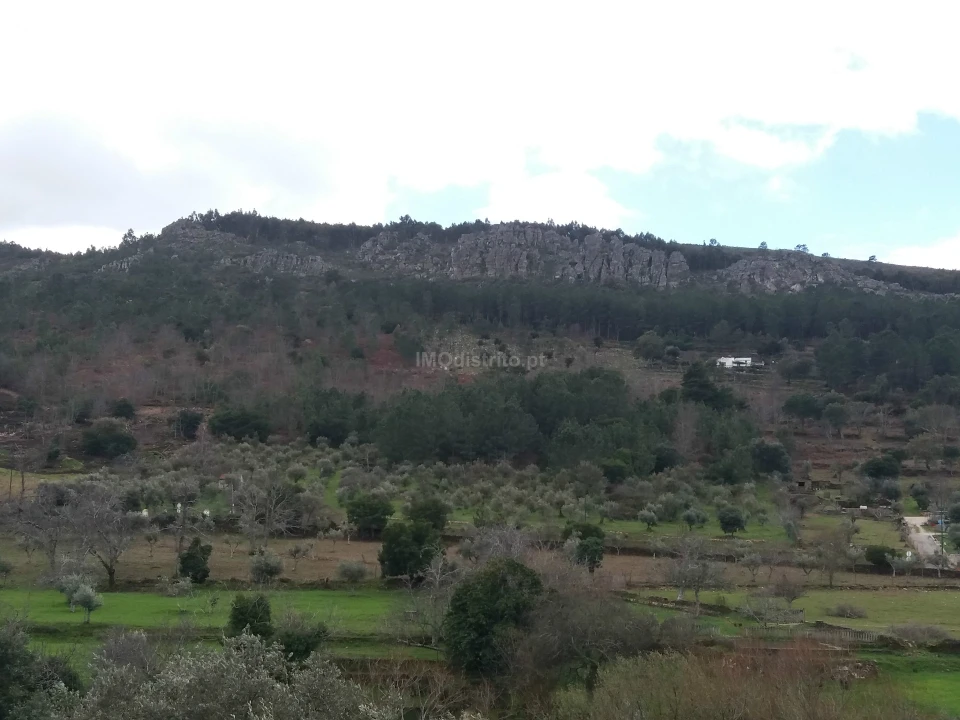 Terreno Agricola ou Rústico para Venda em São João Baptista Foto 7