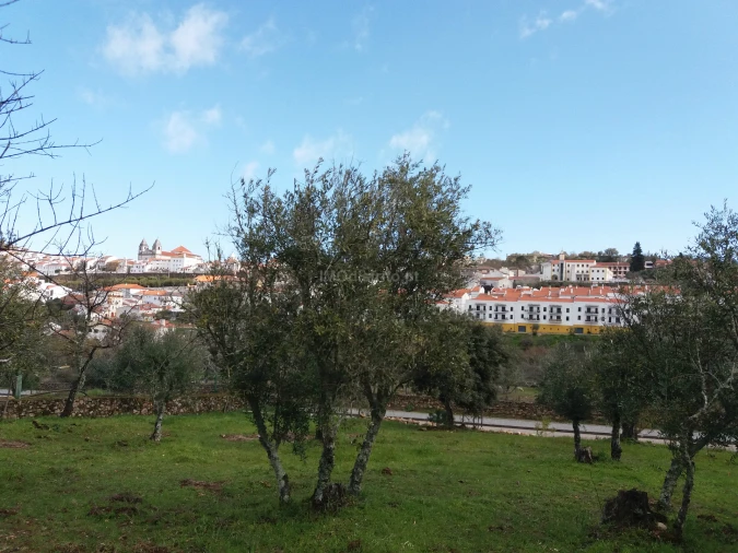 Terreno Agricola ou Rústico para Venda em São João Baptista Foto 5