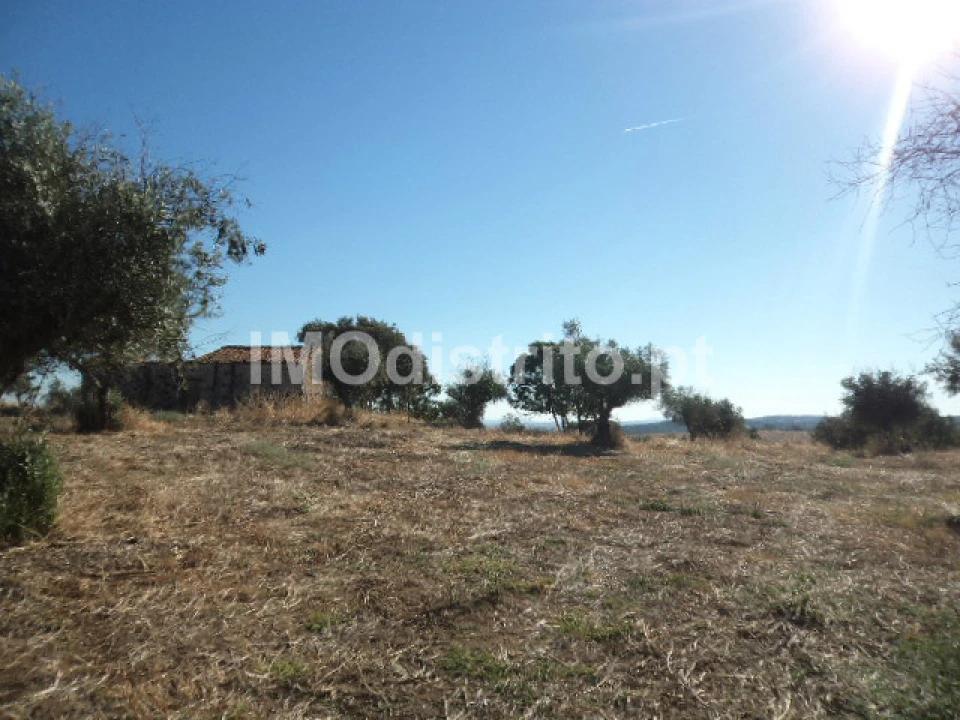 Terreno Agricola ou Rústico para Venda em Nossa Senhora da Graça de Povoa e Meadas Foto 6