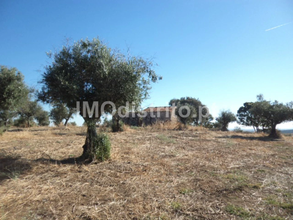 Terreno Agricola ou Rústico para Venda em Nossa Senhora da Graça de Povoa e Meadas Foto 7