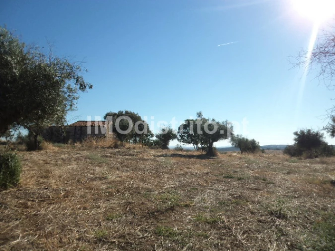 Terreno Agricola ou Rústico para Venda em Nossa Senhora da Graça de Povoa e Meadas Foto 6