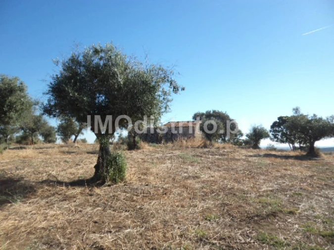 Terreno Agricola ou Rústico para Venda em Nossa Senhora da Graça de Povoa e Meadas Foto 7