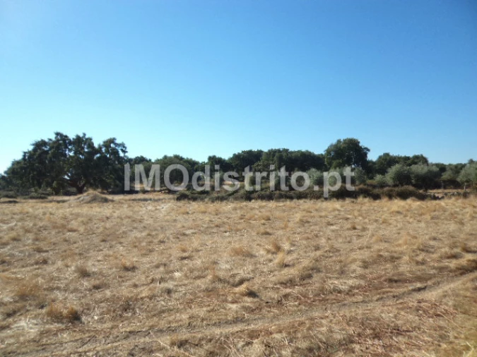 Terreno Agricola ou Rústico para Venda em Nossa Senhora da Graça de Povoa e Meadas Foto 11