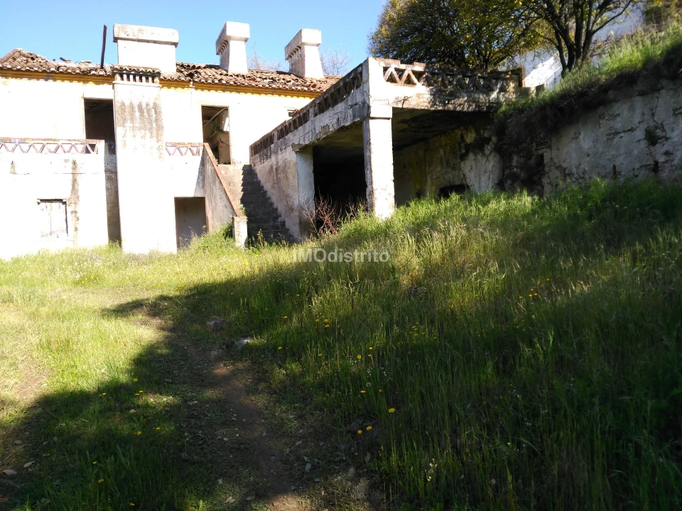 Quinta T6 para Venda em Ribeira de Nisa e Carreiras Foto 2