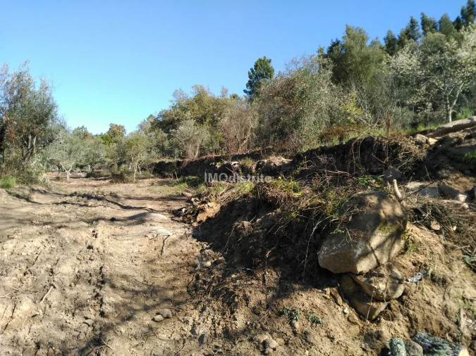 Quinta T6 para Venda em Ribeira de Nisa e Carreiras Foto 11