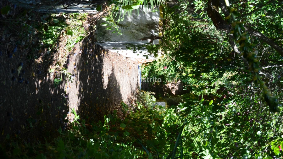 Moradia T10 para Venda em Sé e São Lourenço Foto 22