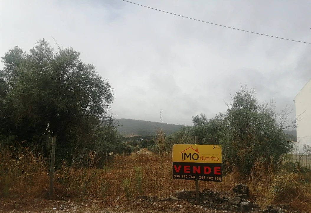 Terreno para Venda em São Salvador da Aramenha Foto 5
