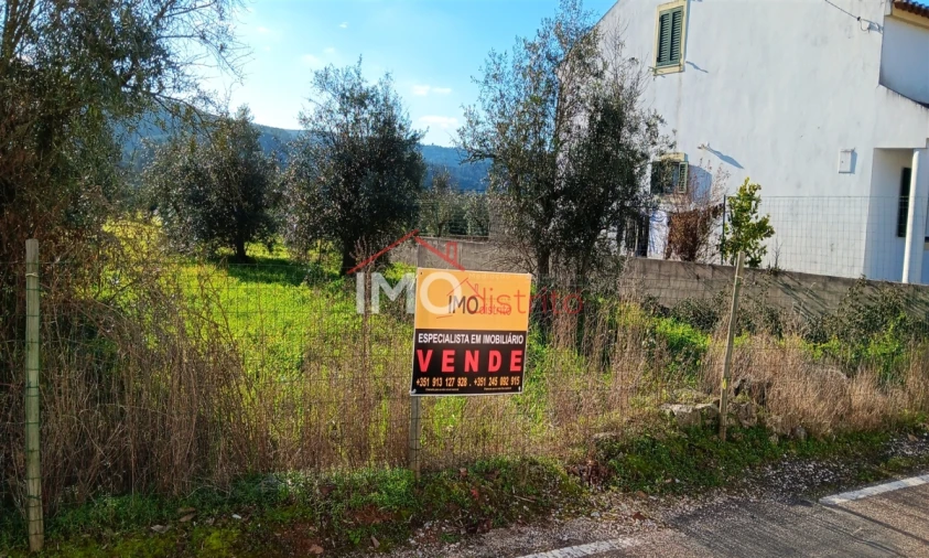 Terreno para Venda em São Salvador da Aramenha Foto 2