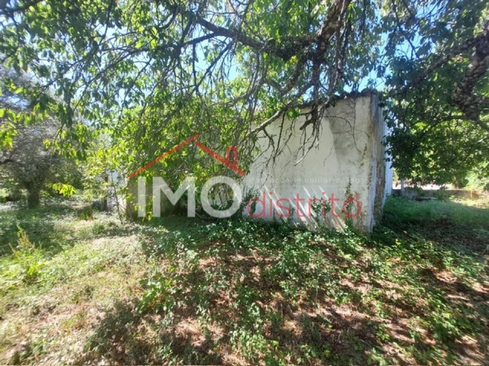 Quinta T3 para Venda em Ribeira de Nisa e Carreiras Foto 20
