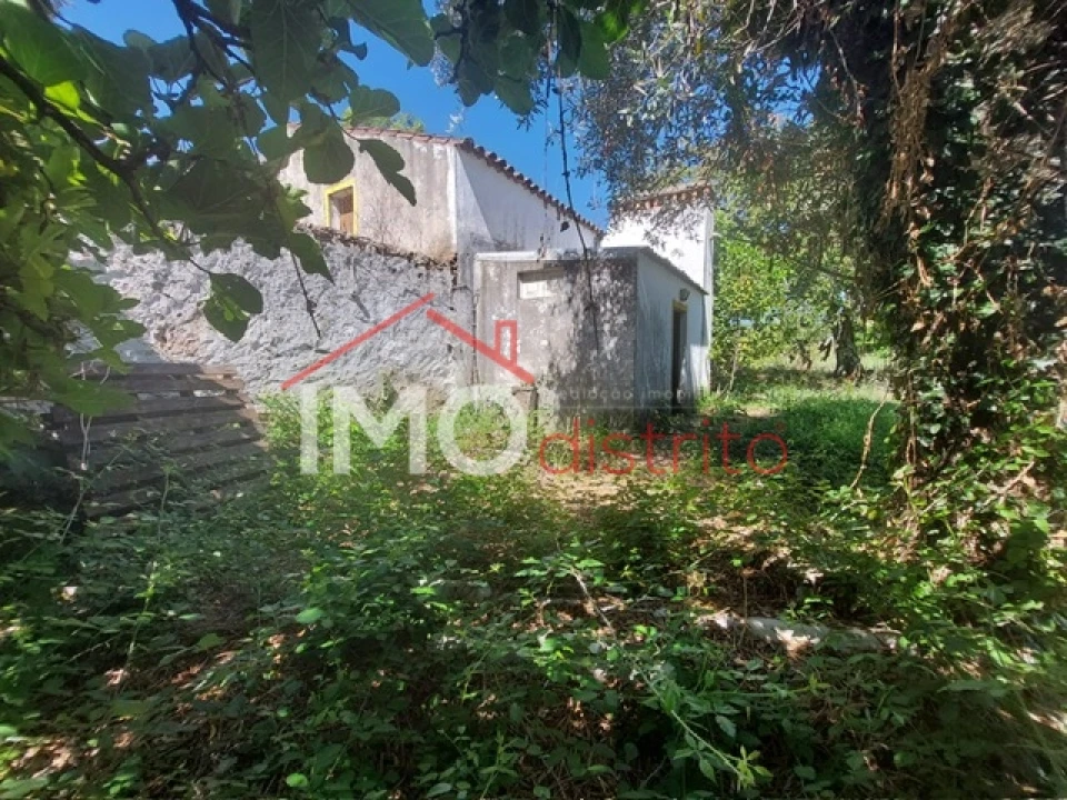 Quinta T3 para Venda em Ribeira de Nisa e Carreiras Foto 9