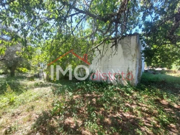 Quinta T3 para Venda em Ribeira de Nisa e Carreiras