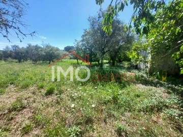 Quinta T3 para Venda em Ribeira de Nisa e Carreiras