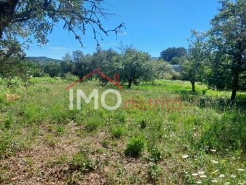 Quinta T3 para Venda em Ribeira de Nisa e Carreiras