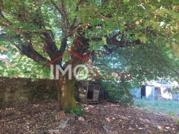 Quinta T3 para Venda em Ribeira de Nisa e Carreiras