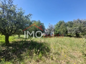 Quinta T3 para Venda em Ribeira de Nisa e Carreiras