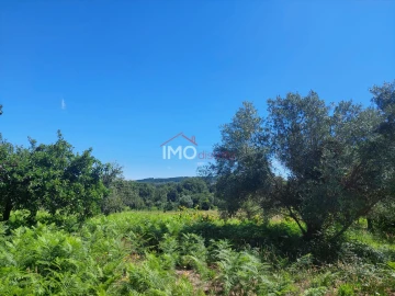 Quinta T3 para Venda em Ribeira de Nisa e Carreiras