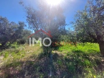 Quinta T3 para Venda em Ribeira de Nisa e Carreiras