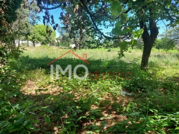 Quinta T3 para Venda em Ribeira de Nisa e Carreiras