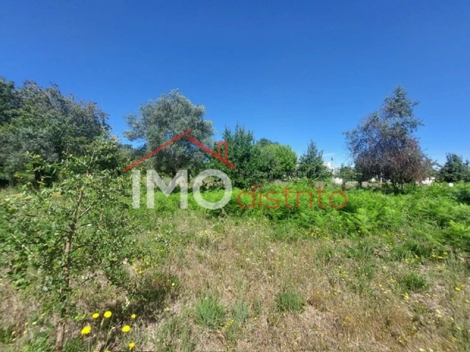 Quinta T3 para Venda em Ribeira de Nisa e Carreiras Foto 14