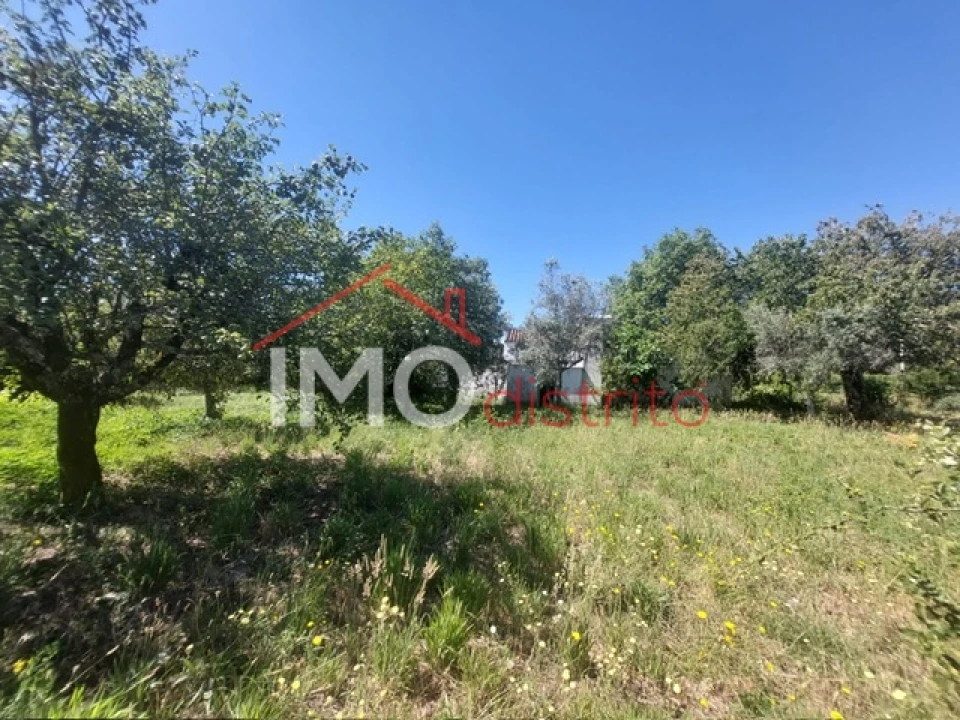 Quinta T3 para Venda em Ribeira de Nisa e Carreiras Foto 13