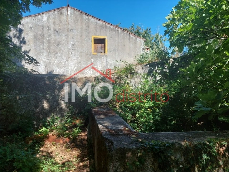 Quinta T3 para Venda em Ribeira de Nisa e Carreiras Foto 7
