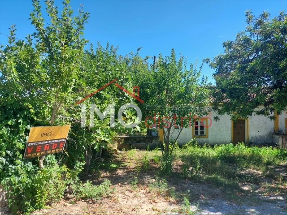 Quinta T3 para Venda em Ribeira de Nisa e Carreiras Foto 2