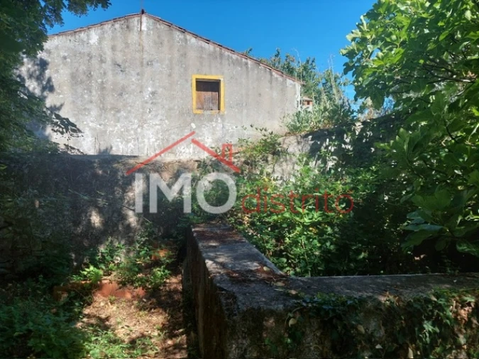 Quinta T3 para Venda em Ribeira de Nisa e Carreiras Foto 7