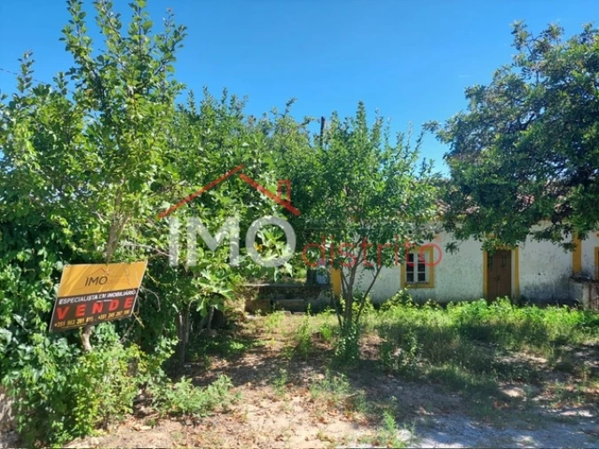 Quinta T3 para Venda em Ribeira de Nisa e Carreiras Foto 2