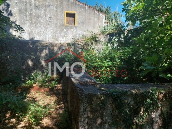 Quinta T3 para Venda em Ribeira de Nisa e Carreiras Foto 4