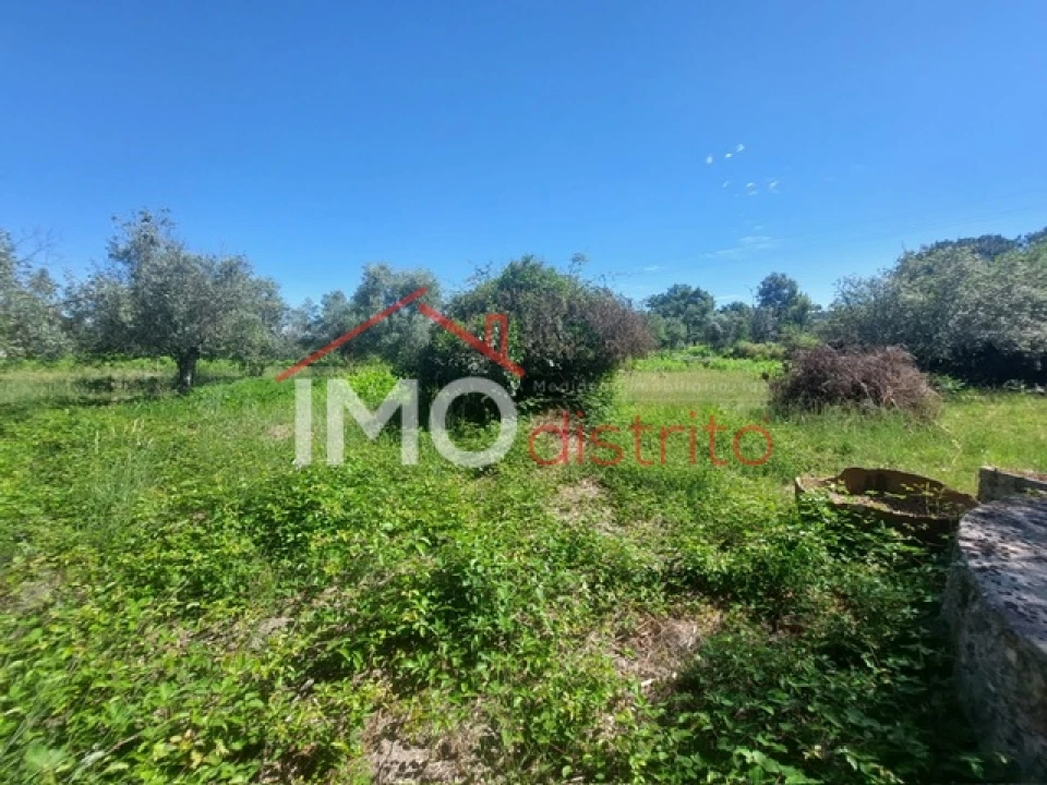 Quinta T3 para Venda em Ribeira de Nisa e Carreiras Foto 6