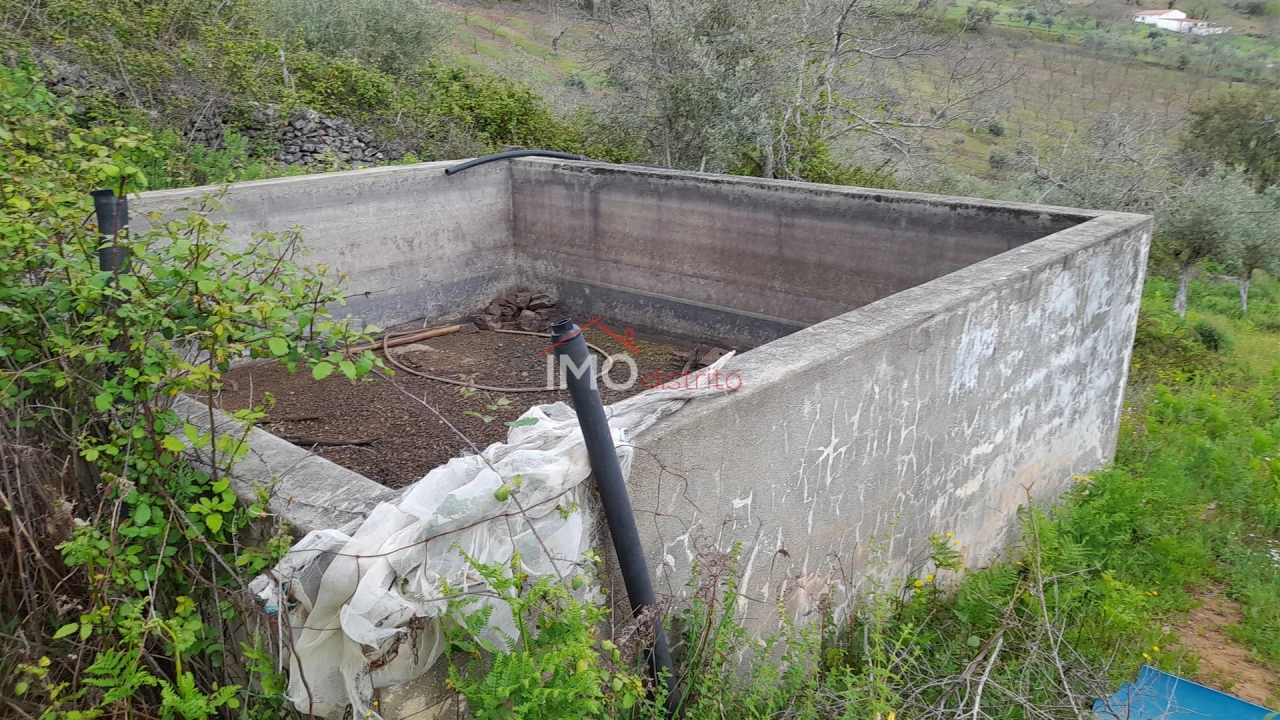 Terreno Agricola ou Rústico para Venda em São Salvador da Aramenha Foto 5