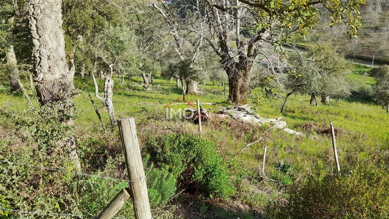 Terreno Agricola ou Rústico para Venda em São Salvador da Aramenha Foto 7