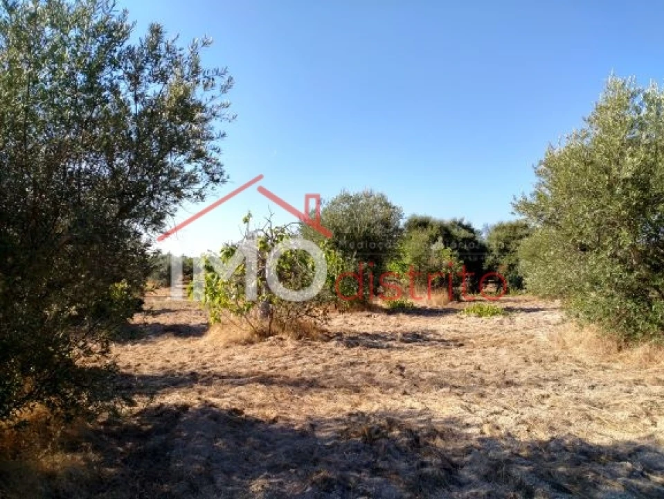 Terreno Agricola ou Rústico para Venda em Espírito Santo, Nossa Senhora da Graça e São Simão Foto 5