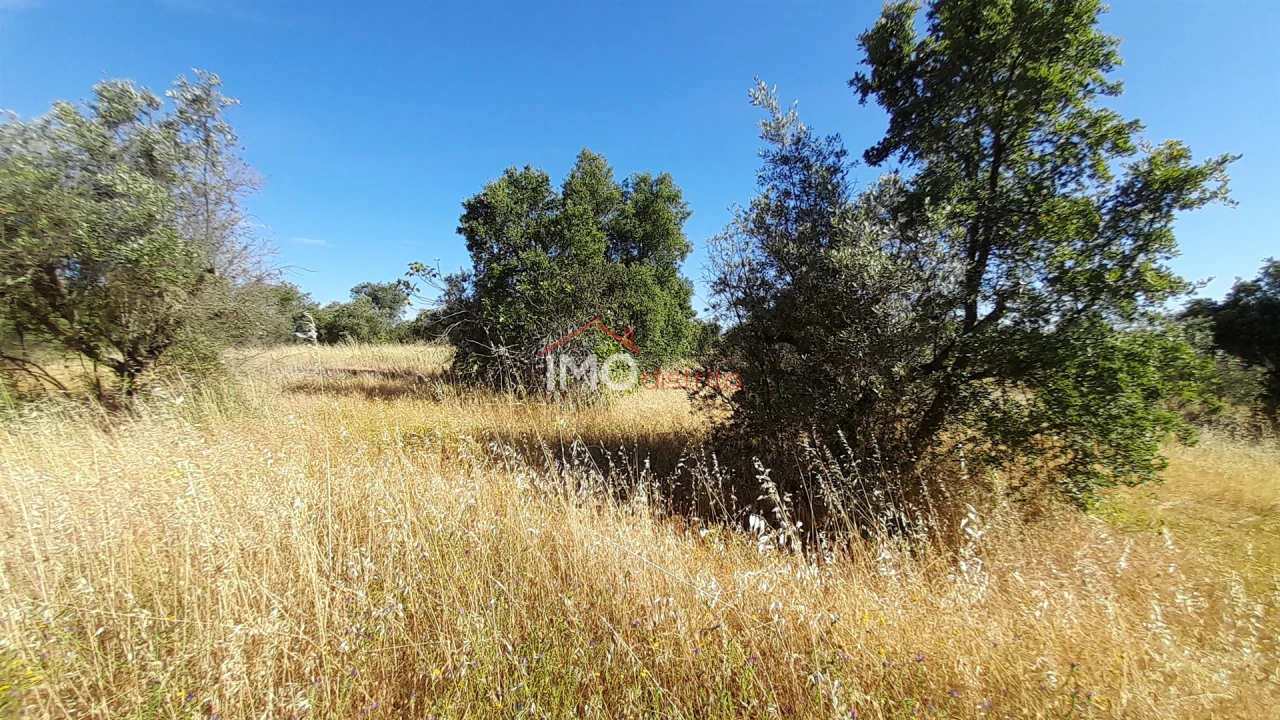 Terreno Agricola ou Rústico para Venda em Espírito Santo, Nossa Senhora da Graça e São Simão Foto 7