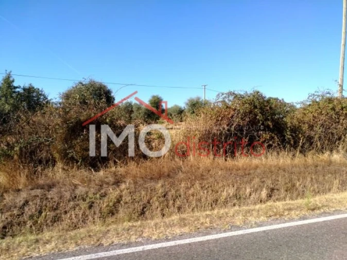 Terreno Agricola ou Rústico para Venda em Espírito Santo, Nossa Senhora da Graça e São Simão Foto 24