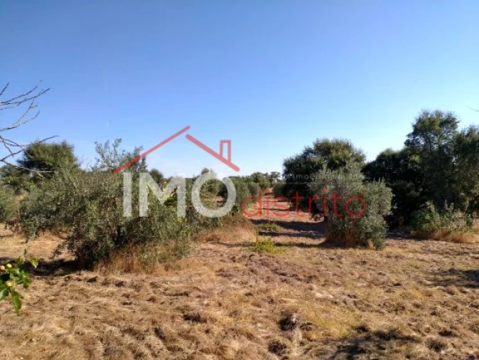 Terreno Agricola ou Rústico para Venda em Espírito Santo, Nossa Senhora da Graça e São Simão Foto 1