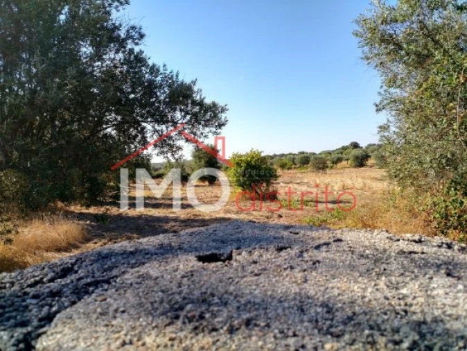 Terreno Agricola ou Rústico para Venda em Espírito Santo, Nossa Senhora da Graça e São Simão Foto 21
