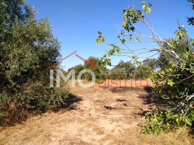 Terreno Agricola ou Rústico para Venda em Espírito Santo, Nossa Senhora da Graça e São Simão Foto 10
