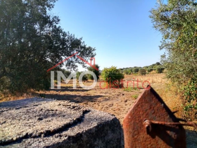 Terreno Agricola ou Rústico para Venda em Espírito Santo, Nossa Senhora da Graça e São Simão Foto 22